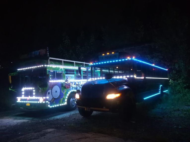 Christmas Night in a Party Bus