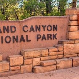 luxury transportation