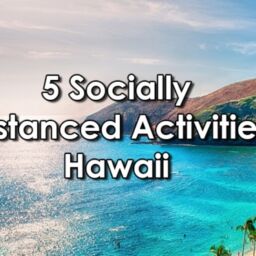 rent a bus in hawaii