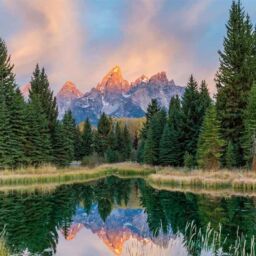 charter bus rental near me