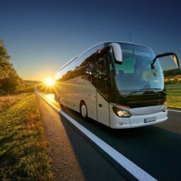 Reasons To Opt For A Charter Bus Rental