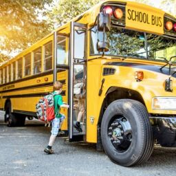 school bus trends