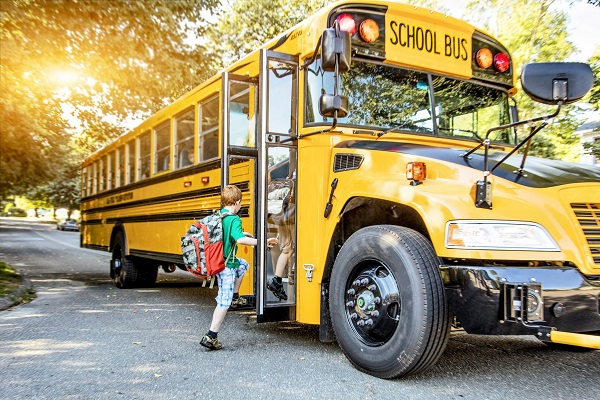 school bus trends