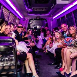 affordable party bus rental