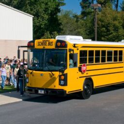 School Bus Rental