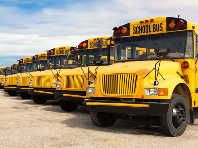 rows-of-buses-iStock-512291589-scaled