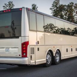 affordable charter bus rental